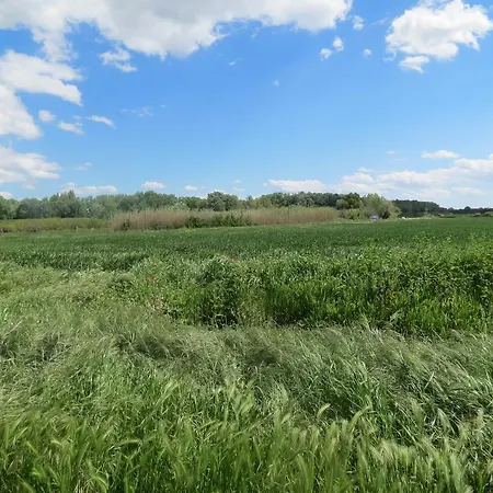 Oda ve Kahvaltı Mas Les Lecques Beaucaire (Gard)